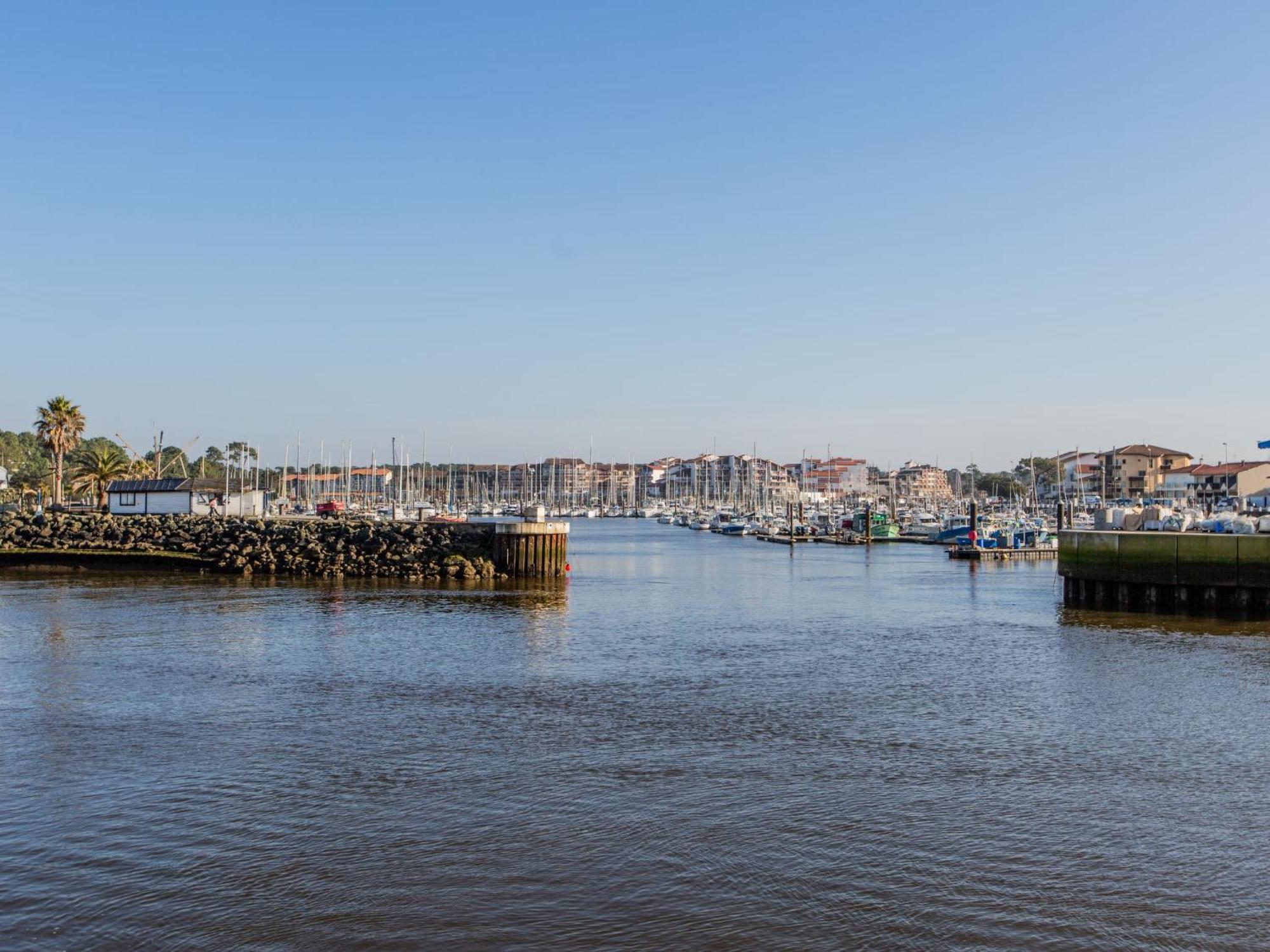 Apartment Les Terrasses Notre Dame Du Port-8 By Interhome كابروتو المظهر الخارجي الصورة
